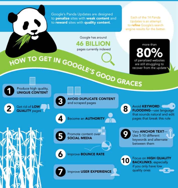 Panda infographic