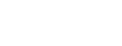 Dyson white logo