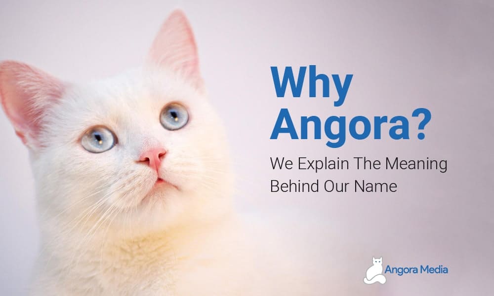 Why Angora?